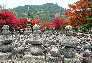 あだし野念仏寺の画像