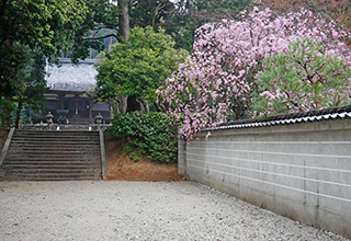 安祥寺の画像