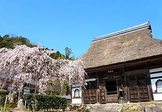 安国寺