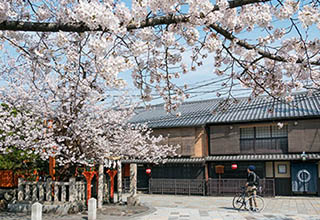 祇園白川巽神社の画像