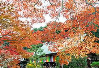 今熊野観音寺の写真