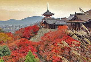 清水寺の画像