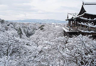 清水寺の画像