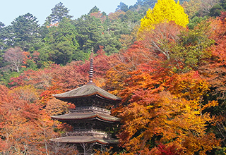 金剛院