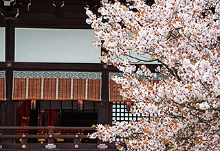 京都御所の画像