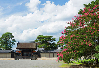 京都御苑の画像