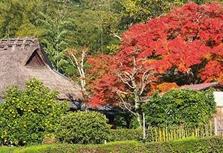 嵯峨野の風景の画像