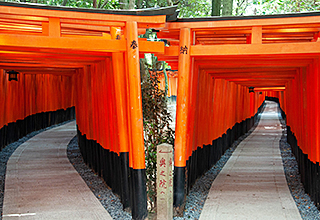 伏見稲荷大社千本鳥居の画像