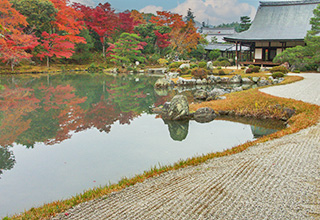 天龍寺の画像