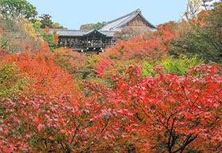 東福寺の画像