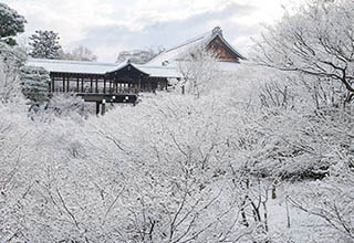 東福寺の画像