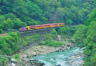 トロッコ列車の画像