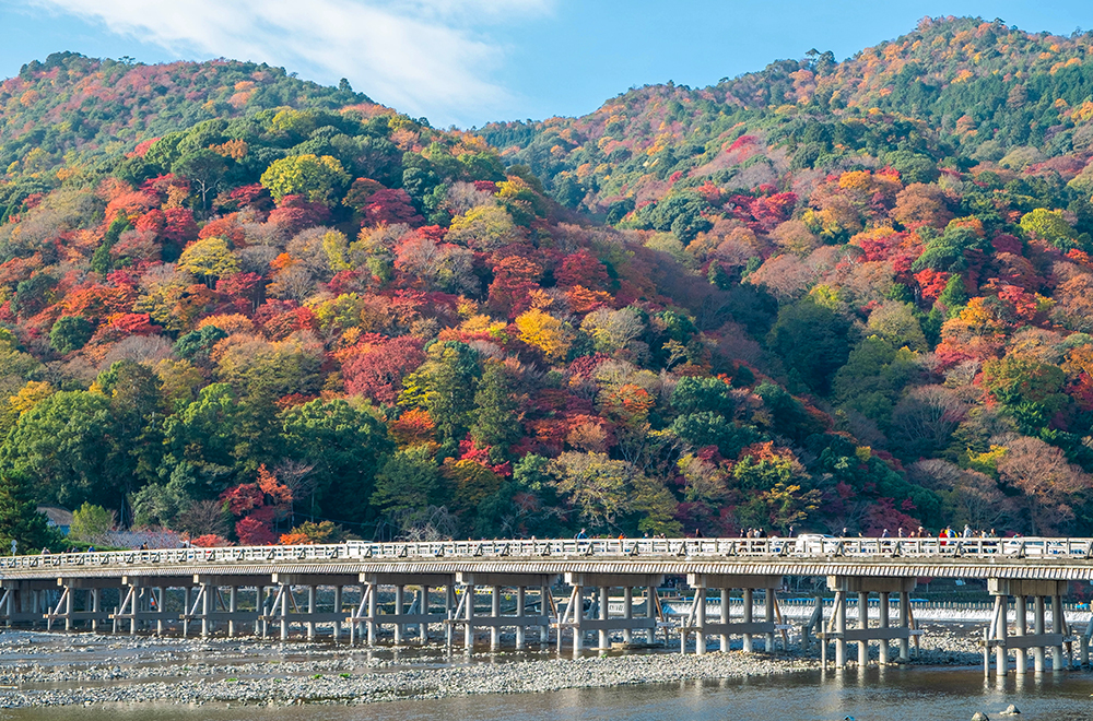 嵐山渡月橋の画像