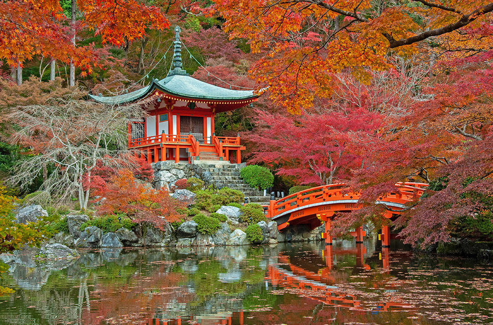 醍醐寺の画像