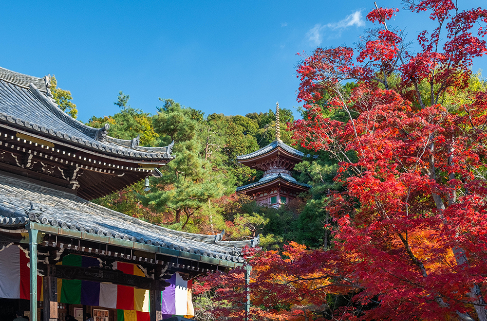 今熊野観音寺の画像