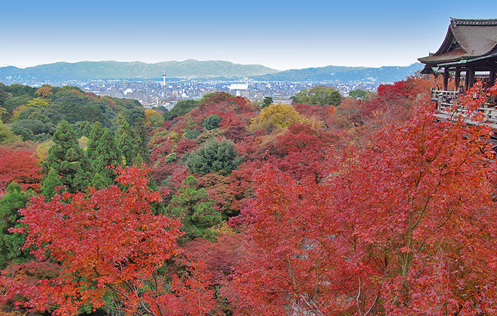 清水寺の画像