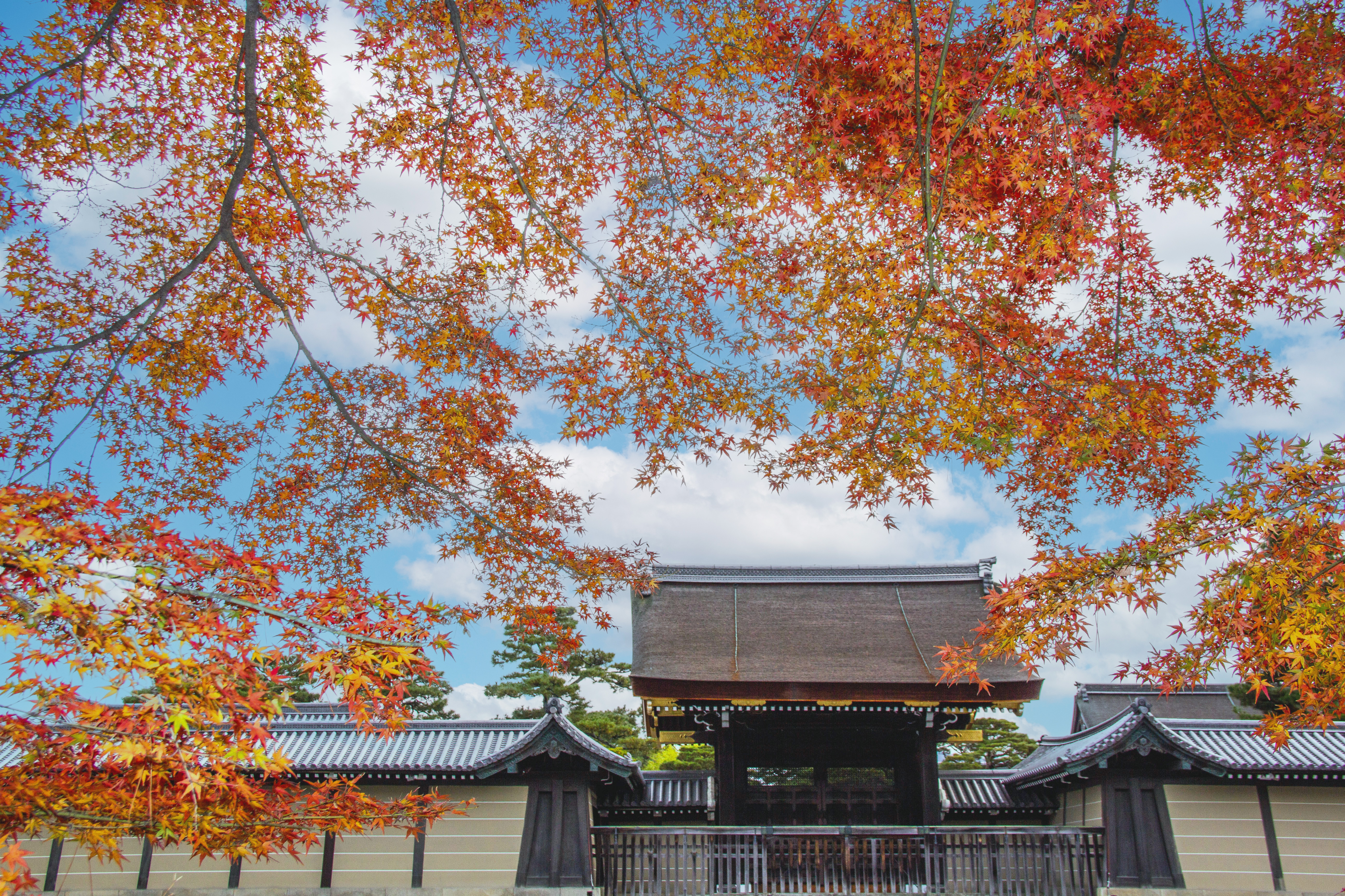 京都御苑の画像