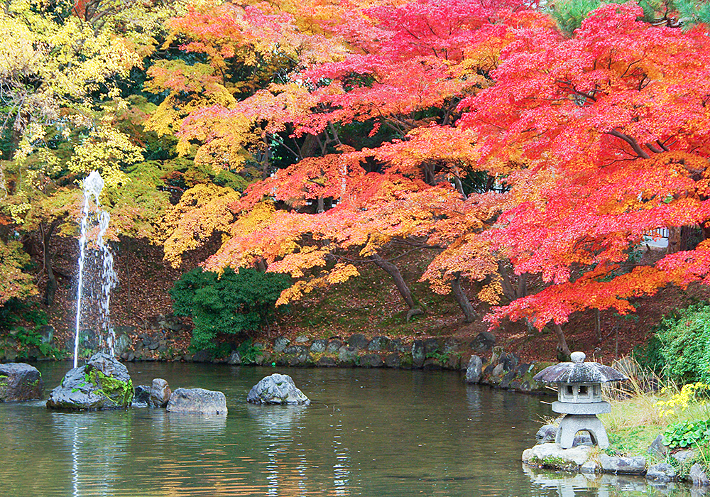 円山公園の画像