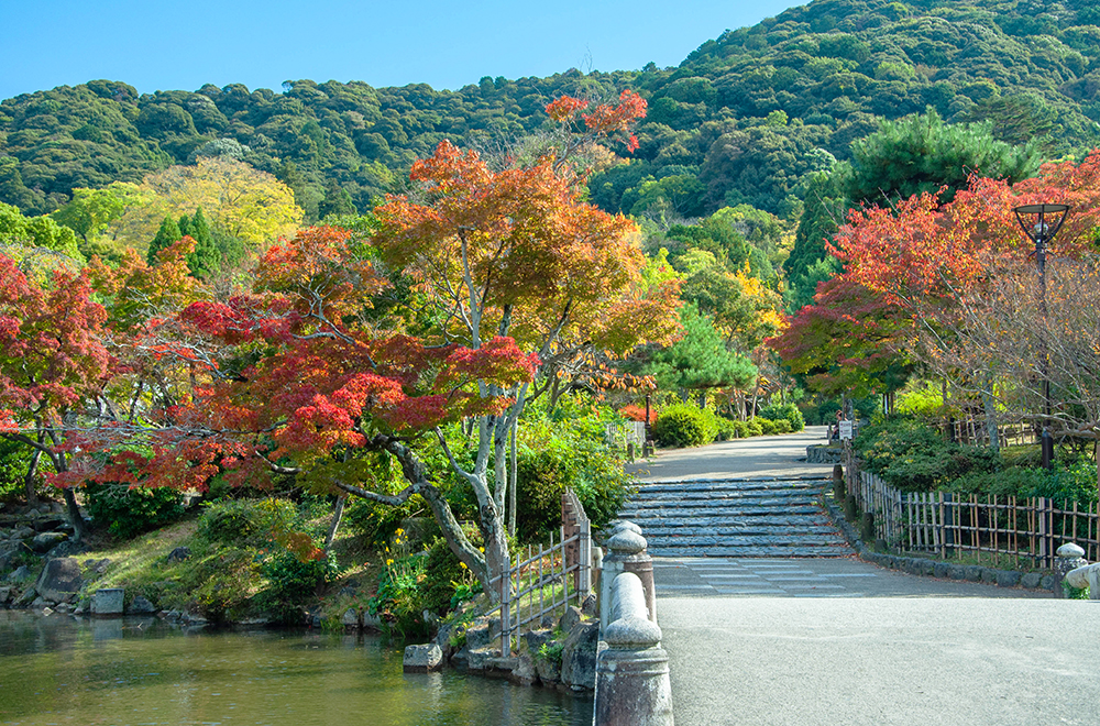 円山公園の画像