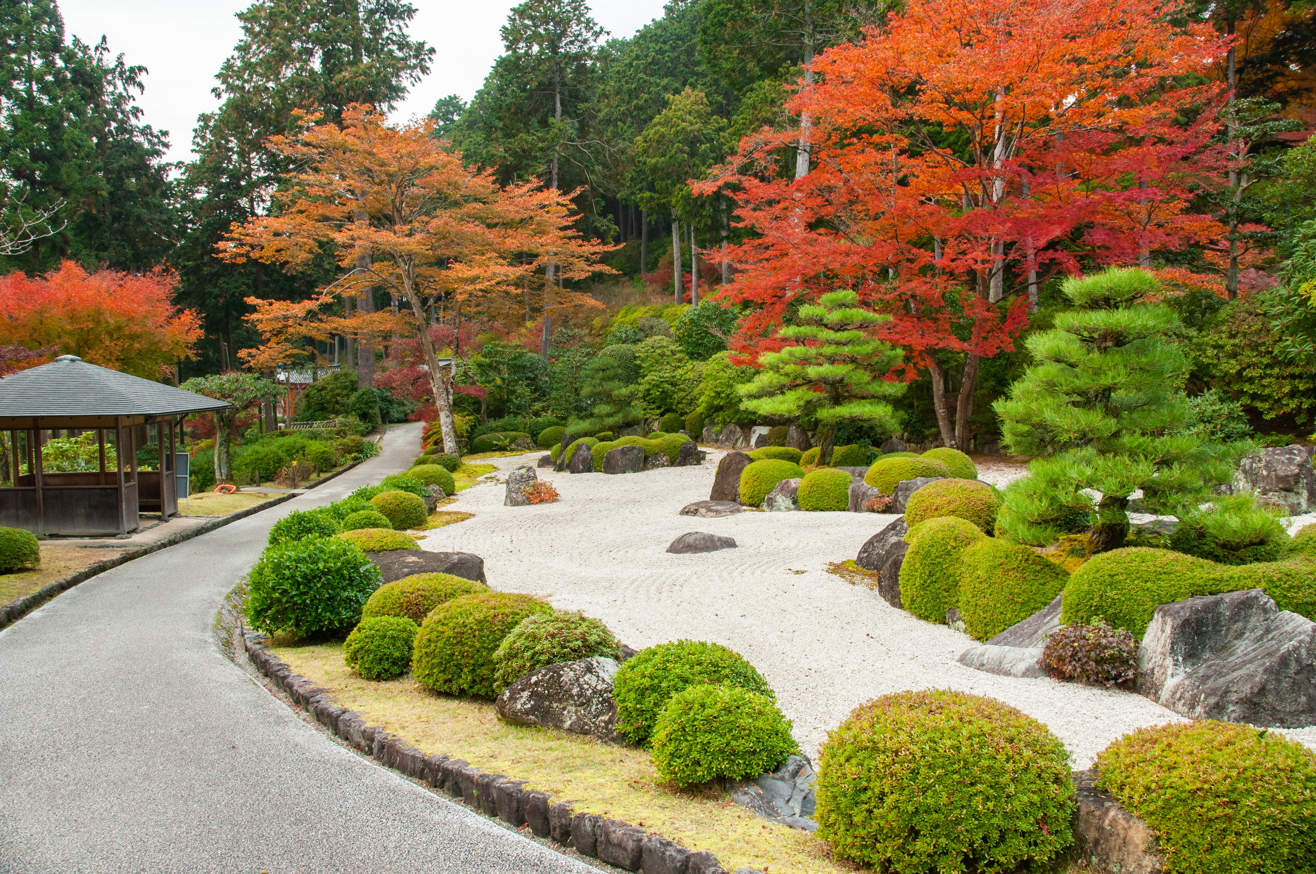 三室戸寺の画像