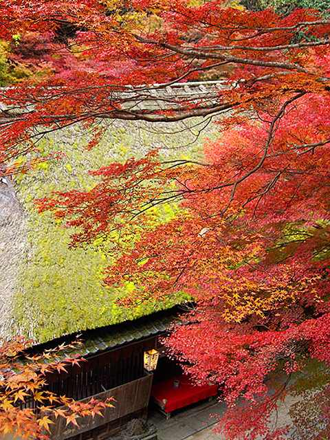 嵯峨鳥居本の画像