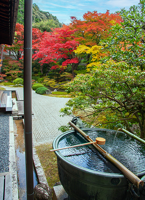 泉涌寺の画像