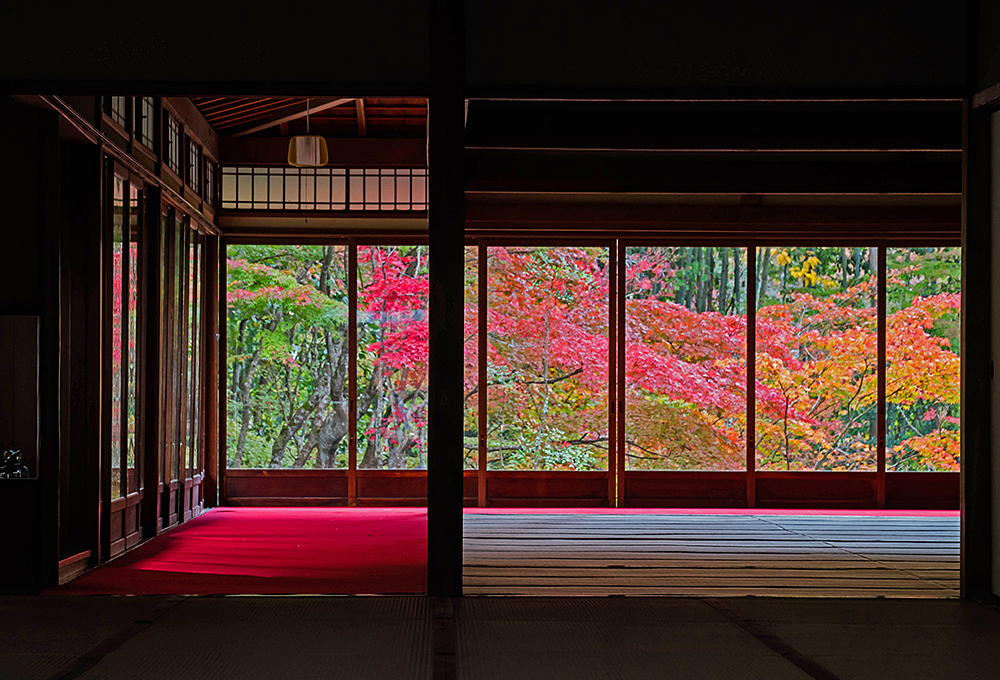 天授庵の画像