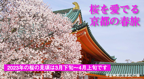桜を愛でる京都の春旅