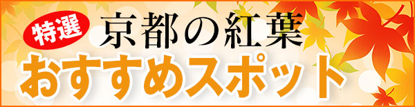 紅葉の見どころ・見頃