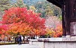 南禅寺の秋