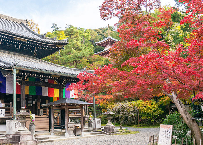 今熊野観音寺写真