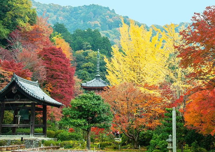 宇治三室戸寺写真