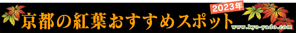 京都の紅葉スポット2023年