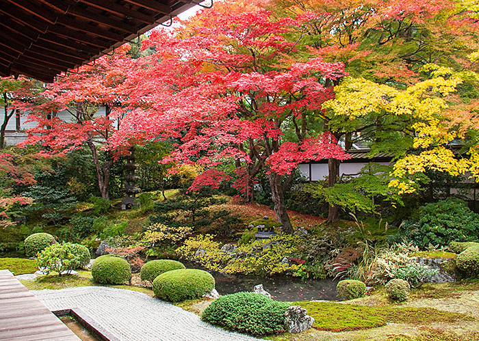 泉涌寺写真