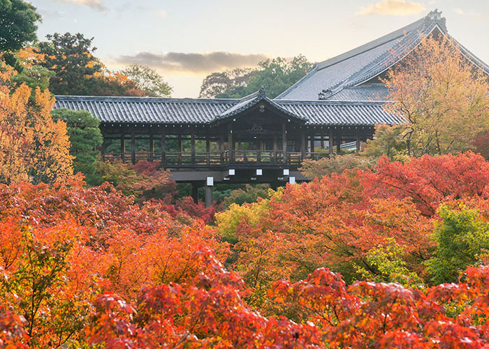 東福寺写真