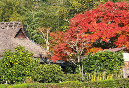 嵯峨野