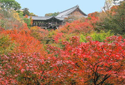 東福寺