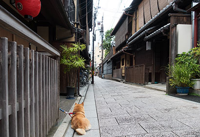 祇園町の光景