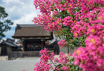 京都御所