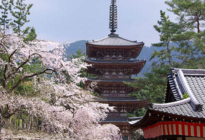 醍醐寺