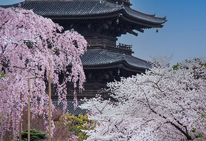 東寺