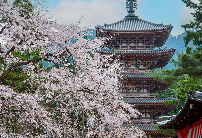 醍醐寺