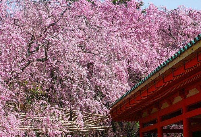 平安神宮