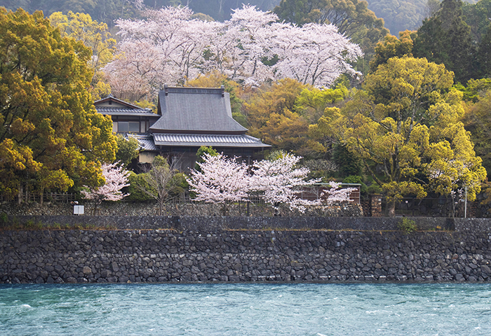 宇治川畔