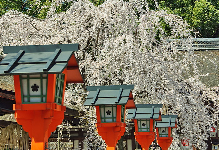 今宮神社