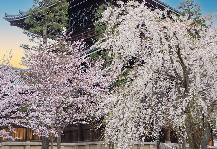 黒谷（金戒光明寺）