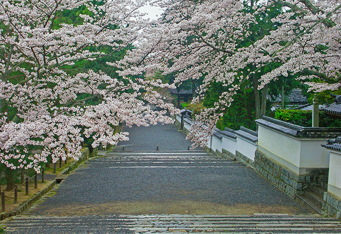 南禅寺