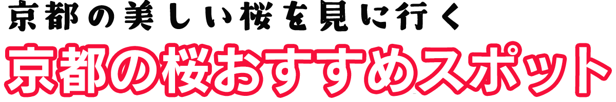 京都の桜おすすめスポット